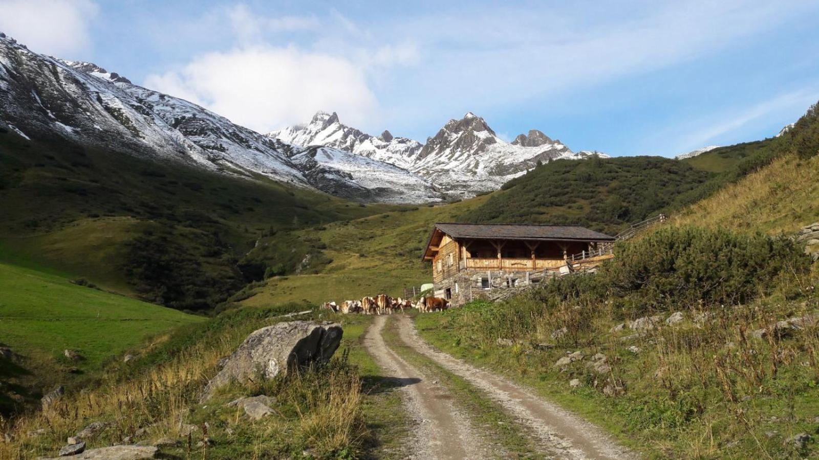 Mooserhof Campo Tures Zewnętrze zdjęcie